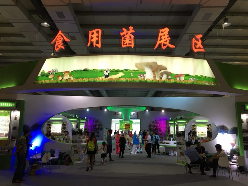 mg冰球突破奢华版(试玩)官方网站