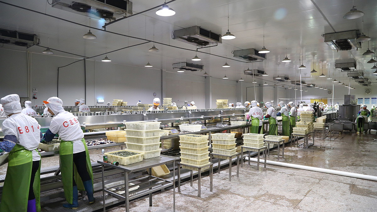 mg冰球突破奢华版(试玩)官方网站