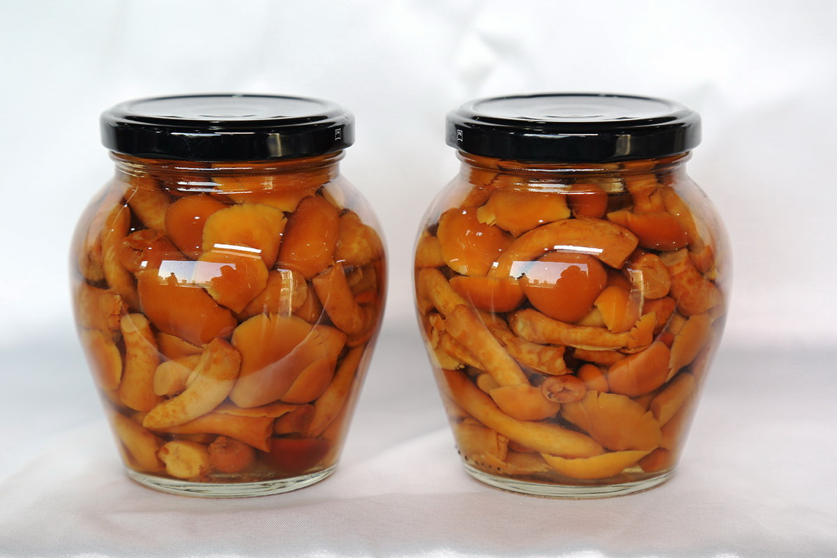 mg冰球突破奢华版(试玩)官方网站