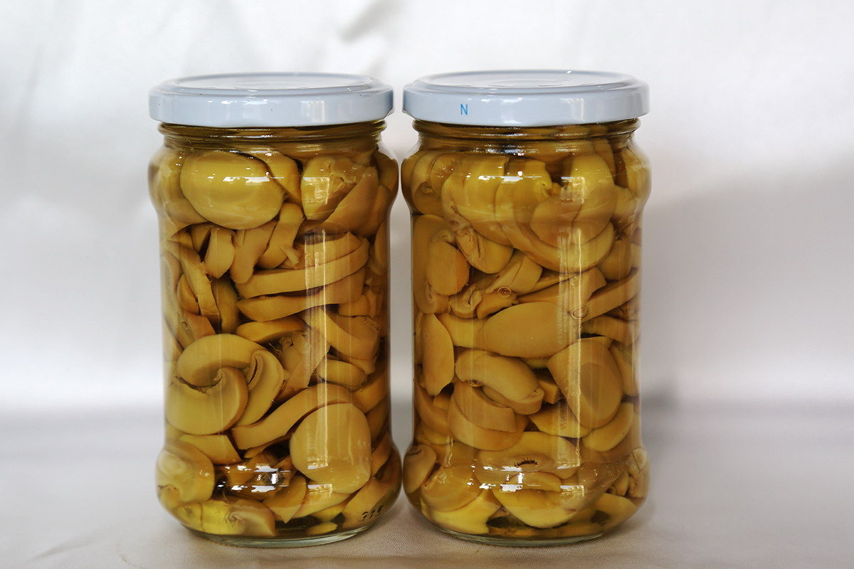 mg冰球突破奢华版(试玩)官方网站