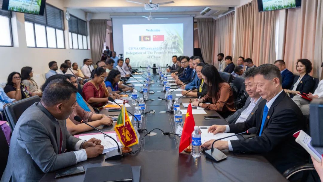 mg冰球突破奢华版(试玩)官方网站